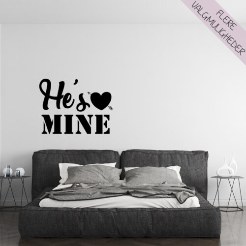 Wallstickers - stort udvalg hos Hjemlux.dk