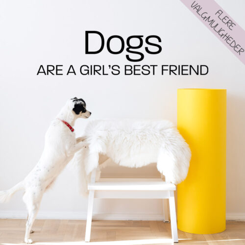 Wallstickers - stort udvalg hos Hjemlux.dk