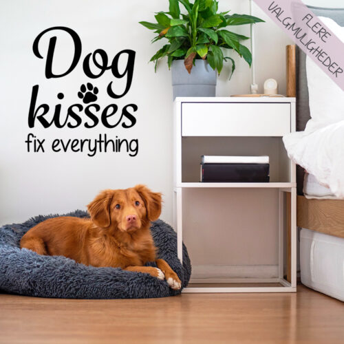 Wallstickers - stort udvalg hos Hjemlux.dk