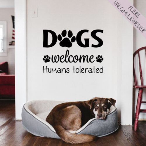 Wallstickers - stort udvalg hos Hjemlux.dk