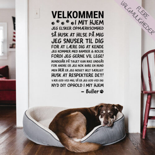 Wallstickers - stort udvalg hos Hjemlux.dk