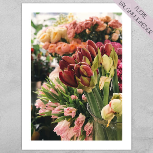 Plakat - Blomster Plakater - stort udvalg hos Hjemlux.dk