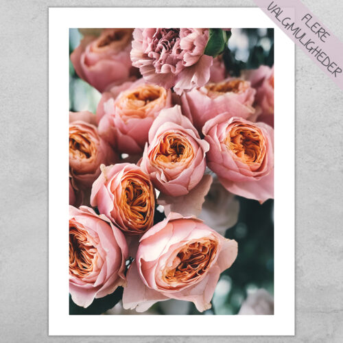 Plakat - Blomster Plakater - stort udvalg hos Hjemlux.dk