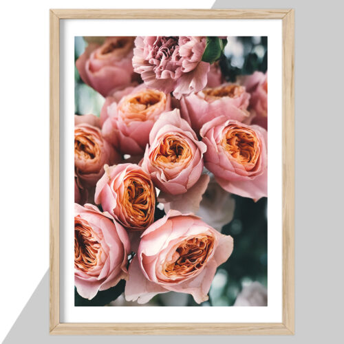 Plakat - Blomster Plakater - stort udvalg hos Hjemlux.dk