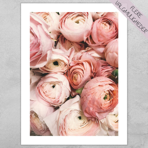 Plakat - Blomster Plakater - stort udvalg hos Hjemlux.dk