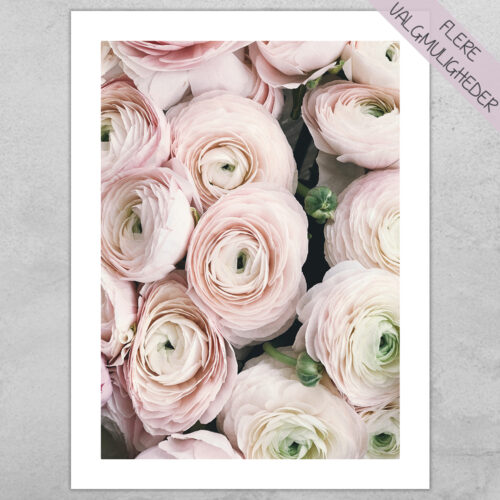 Plakat - Blomster Plakater - stort udvalg hos Hjemlux.dk