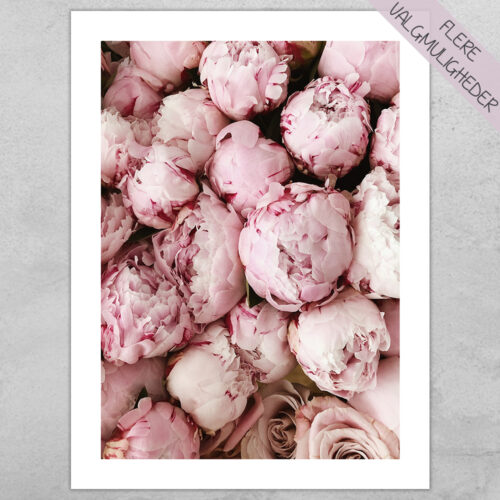 Plakat - Blomster Plakater - stort udvalg hos Hjemlux.dk