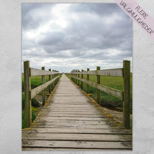 Plakat - Natur Plakater - stort udvalg hos Hjemlux.dk