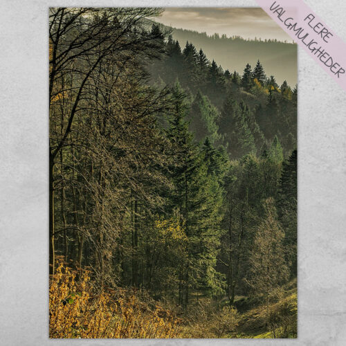 Plakat - Natur Plakater - stort udvalg hos Hjemlux.dk