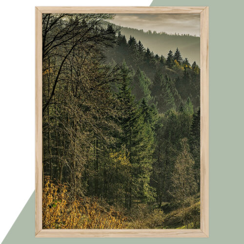 Plakat - Natur Plakater - stort udvalg hos Hjemlux.dk