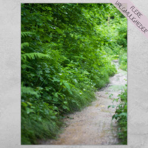 Plakat - Natur Plakater - stort udvalg hos Hjemlux.dk