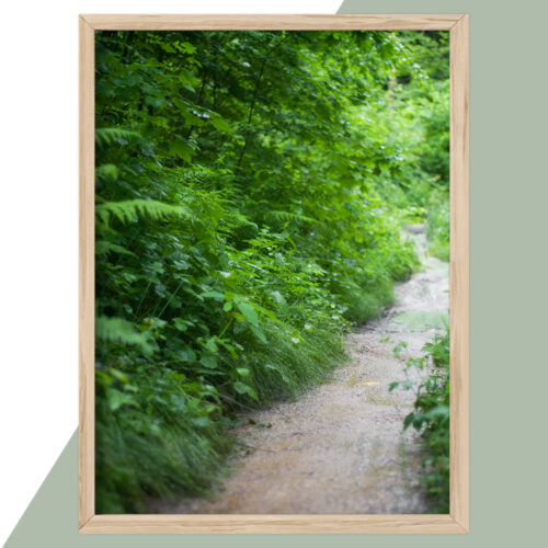 Plakat - Natur Plakater - stort udvalg hos Hjemlux.dk