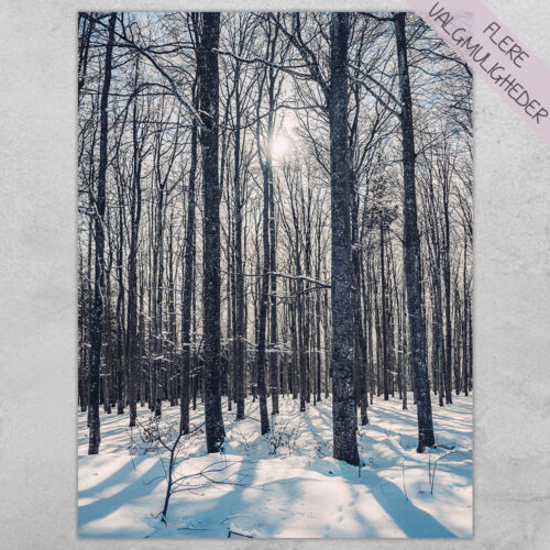 Plakat - Natur Plakater - stort udvalg hos Hjemlux.dk