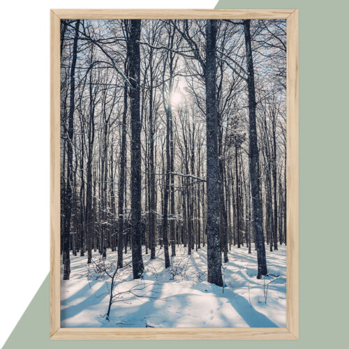 Plakat - Natur Plakater - stort udvalg hos Hjemlux.dk