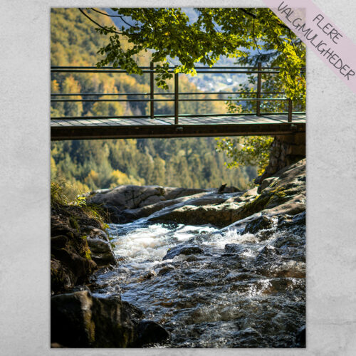 Plakat - Natur Plakater - stort udvalg hos Hjemlux.dk