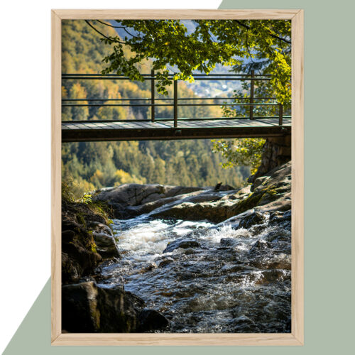 Plakat - Natur Plakater - stort udvalg hos Hjemlux.dk