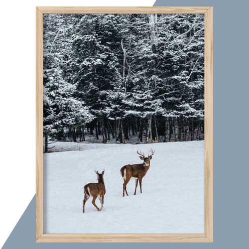 Plakat - Natur Plakater - stort udvalg hos Hjemlux.dk