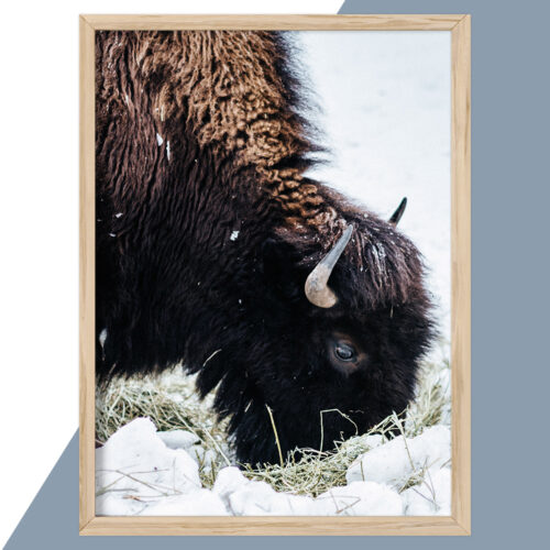 Plakat - Natur Plakater - stort udvalg hos Hjemlux.dk