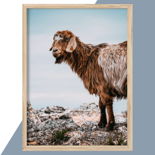 Plakat - Natur Plakater - stort udvalg hos Hjemlux.dk