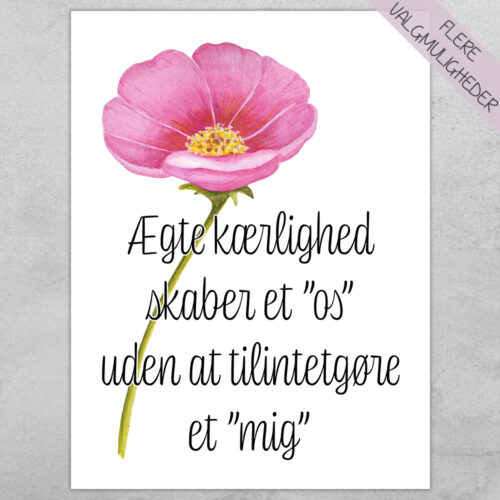 Plakat - citat & tekst plakater - stort udvalg hos Hjemlux.dk