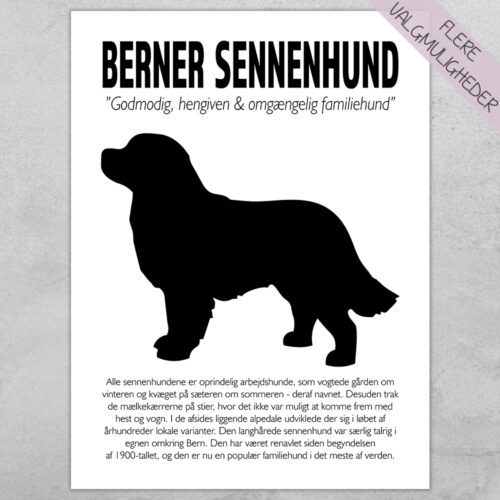 Plakat - personlige hunde plakater - stort udvalg hos Hjemlux.dk