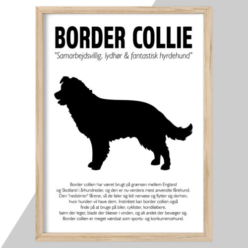 Plakat - personlige hunde plakater - stort udvalg hos Hjemlux.dk