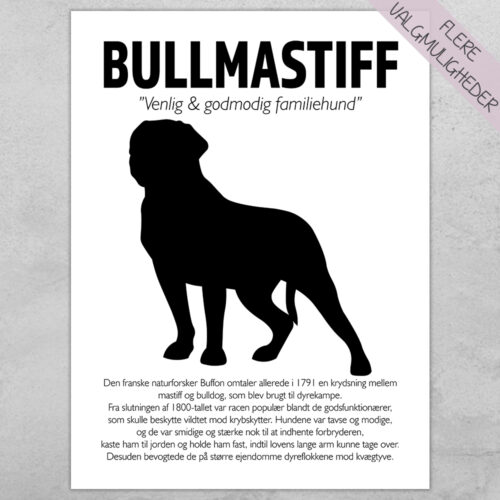 Plakat - personlige hunde plakater - stort udvalg hos Hjemlux.dk