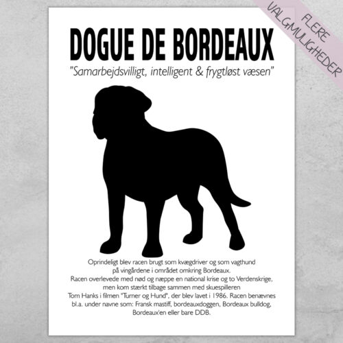 Plakat - personlige hunde plakater - stort udvalg hos Hjemlux.dk