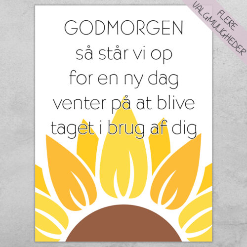 Plakat - plakater - stort udvalg hos Hjemlux.dk