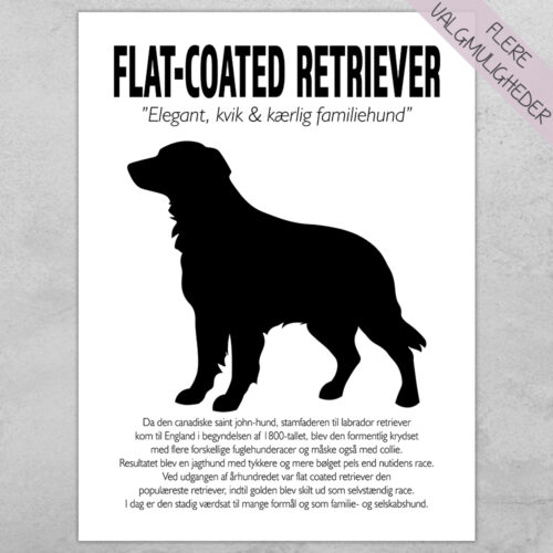 Plakat - personlige hunde plakater - stort udvalg hos Hjemlux.dk