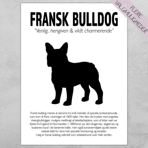 Plakat - personlige hunde plakater - stort udvalg hos Hjemlux.dk