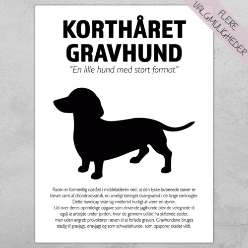 Plakat - personlige hunde plakater - stort udvalg hos Hjemlux.dk