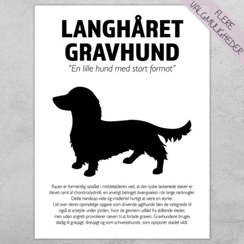 Plakat - personlige hunde plakater - stort udvalg hos Hjemlux.dk