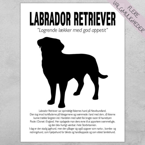 Plakat - personlige hunde plakater - stort udvalg hos Hjemlux.dk