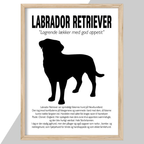 Plakat - personlige hunde plakater - stort udvalg hos Hjemlux.dk