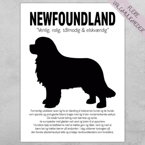 Plakat - personlige hunde plakater - stort udvalg hos Hjemlux.dk