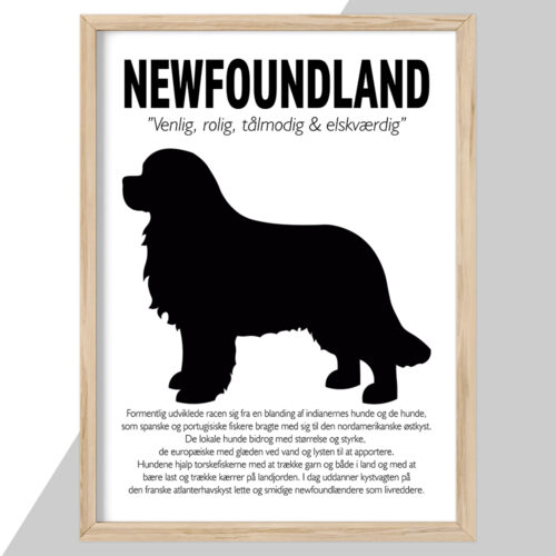 Plakat - personlige hunde plakater - stort udvalg hos Hjemlux.dk