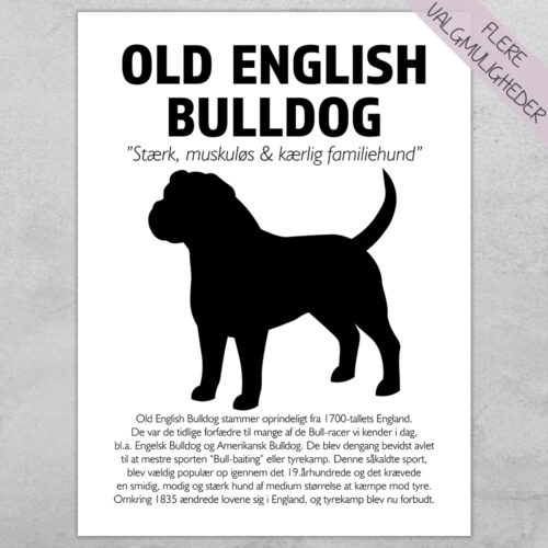 Plakat - personlige hunde plakater - stort udvalg hos Hjemlux.dk