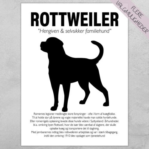 Plakat - personlige hunde plakater - stort udvalg hos Hjemlux.dk