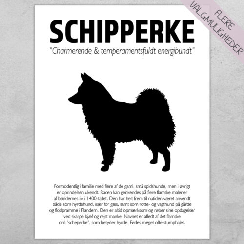 Plakat - personlige hunde plakater - stort udvalg hos Hjemlux.dk