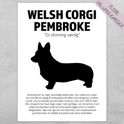 Plakat - personlige hunde plakater - stort udvalg hos Hjemlux.dk
