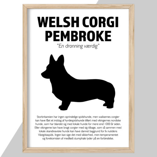 Plakat - personlige hunde plakater - stort udvalg hos Hjemlux.dk