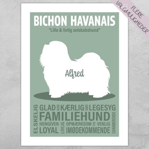 Plakat - personlige hunde plakater - stort udvalg hos Hjemlux.dk