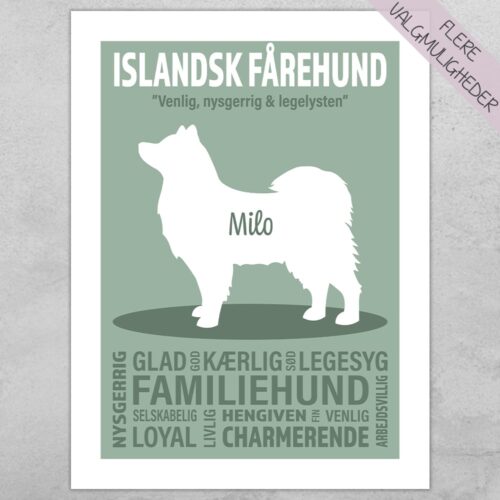 Plakat - personlige hunde plakater - stort udvalg hos Hjemlux.dk