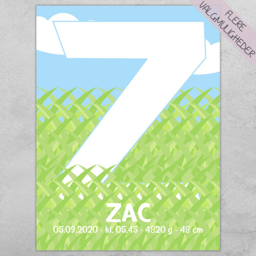 Plakat - personlige plakater - plakater - stort udvalg hos Hjemlux.dk