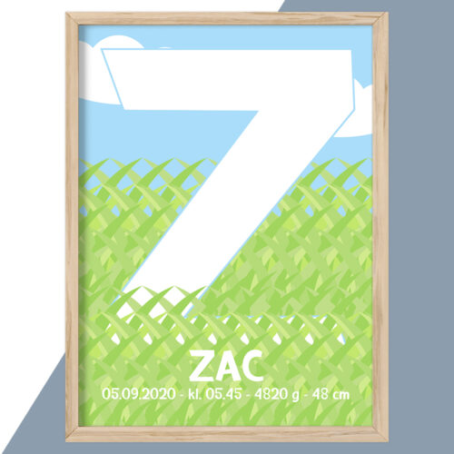 Plakat - personlige plakater - plakater - stort udvalg hos Hjemlux.dk