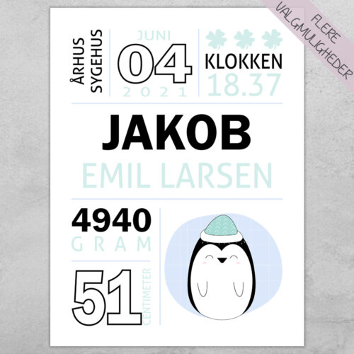 Plakat - personlige plakater - plakater - stort udvalg hos Hjemlux.dk