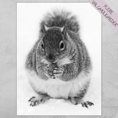 Plakat - personlige plakater - plakater - stort udvalg hos Hjemlux.dk