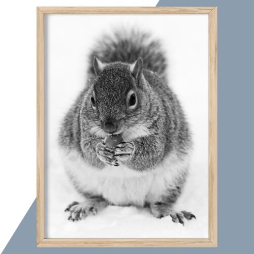 Plakat - personlige plakater - plakater - stort udvalg hos Hjemlux.dk