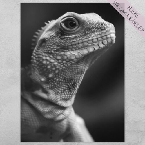 Plakat - personlige plakater - plakater - stort udvalg hos Hjemlux.dk